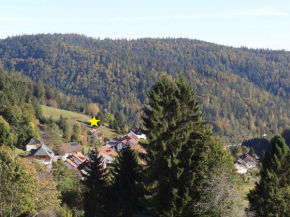 Apartments Amalia - mit WLAN und Sky in bester Lage